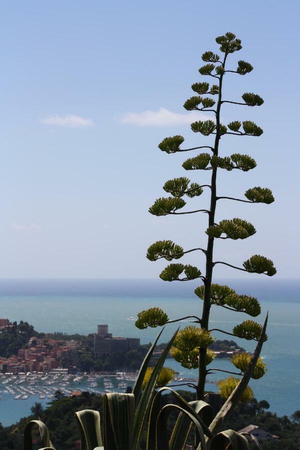 Willa Agave Di Lerici Zewnętrze zdjęcie