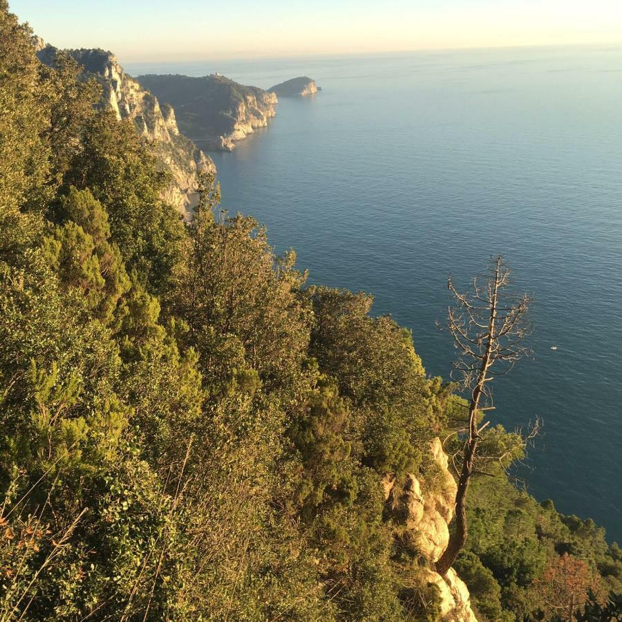 Willa Agave Di Lerici Zewnętrze zdjęcie